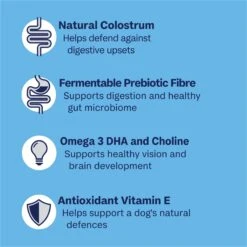 Advance Chicken & Rice Puppy Plus Growth Dry Food -KONG Shop MARS 9334214002767 8