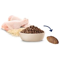 Advance Chicken & Rice Puppy Plus Growth Large Breed Dry Food -KONG Shop MARS 9334214002781 10