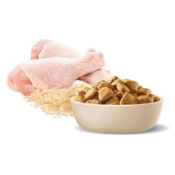 Advance Perfect Weight Large Breed Chicken With Rice Adult Dog Dry Food -KONG Shop MARS 9334214028156 10