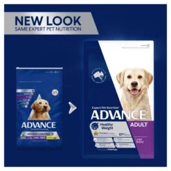 Advance Perfect Weight Large Breed Chicken With Rice Adult Dog Dry Food -KONG Shop MARS 9334214028156 13