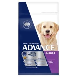 Advance Perfect Weight Large Breed Chicken With Rice Adult Dog Dry Food -KONG Shop MARS 9334214028156 70