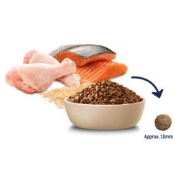 Advance Chicken & Salmon With Rice Adult Cat Dry Food -KONG Shop MARS 9334214045726 10