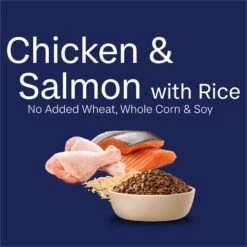Advance Chicken & Salmon With Rice Adult Cat Dry Food -KONG Shop MARS 9334214045726 18