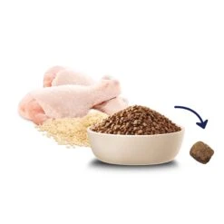 Advance Kitten Plus Growth Chicken With Rice Dry Food -KONG Shop MARS 9334214045764 10