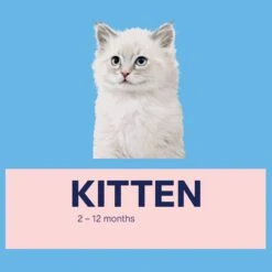 Advance Kitten Plus Growth Chicken With Rice Dry Food -KONG Shop MARS 9334214045764 16