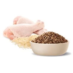 Advance Toy/Small Breed Chicken With Rice Adult Dog Dry Food 22 Advance Toy/Small Breed Chicken With Rice Adult Dog Dry Food -KONG Shop MARS 9334214045931 10