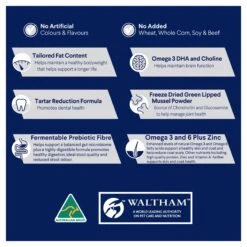 Advance Mature Chicken With Rice Toy/Small Breed Dog Dry Food -KONG Shop MARS 9334214045955 7