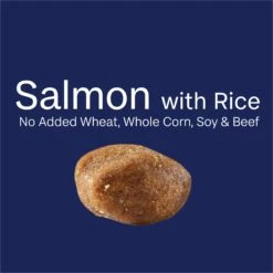 Advance Large Oodles Salmon With Rice Adult Dog Dry Food -KONG Shop MARS 9334214054605 18