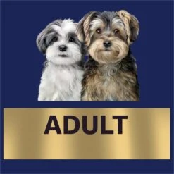 Advance Maltese Crosses Turkey With Rice Adult Dog Dry Food -KONG Shop MARS 9334214060958 16