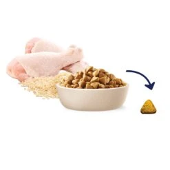 Advance Mobility Chicken With Rice Medium Breed Dog Dry Food -KONG Shop MARS 9334214060996 10