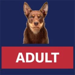 Advance Mobility Chicken With Rice Medium Breed Dog Dry Food -KONG Shop MARS 9334214060996 16