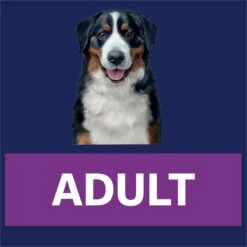 Advance Mobility Chicken With Rice Large Breed Dog Dry Food -KONG Shop MARS 9334214061016 16