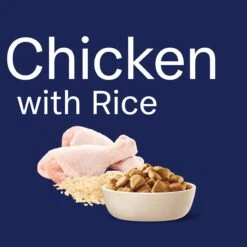 Advance Mobility Chicken With Rice Large Breed Dog Dry Food -KONG Shop MARS 9334214061016 18