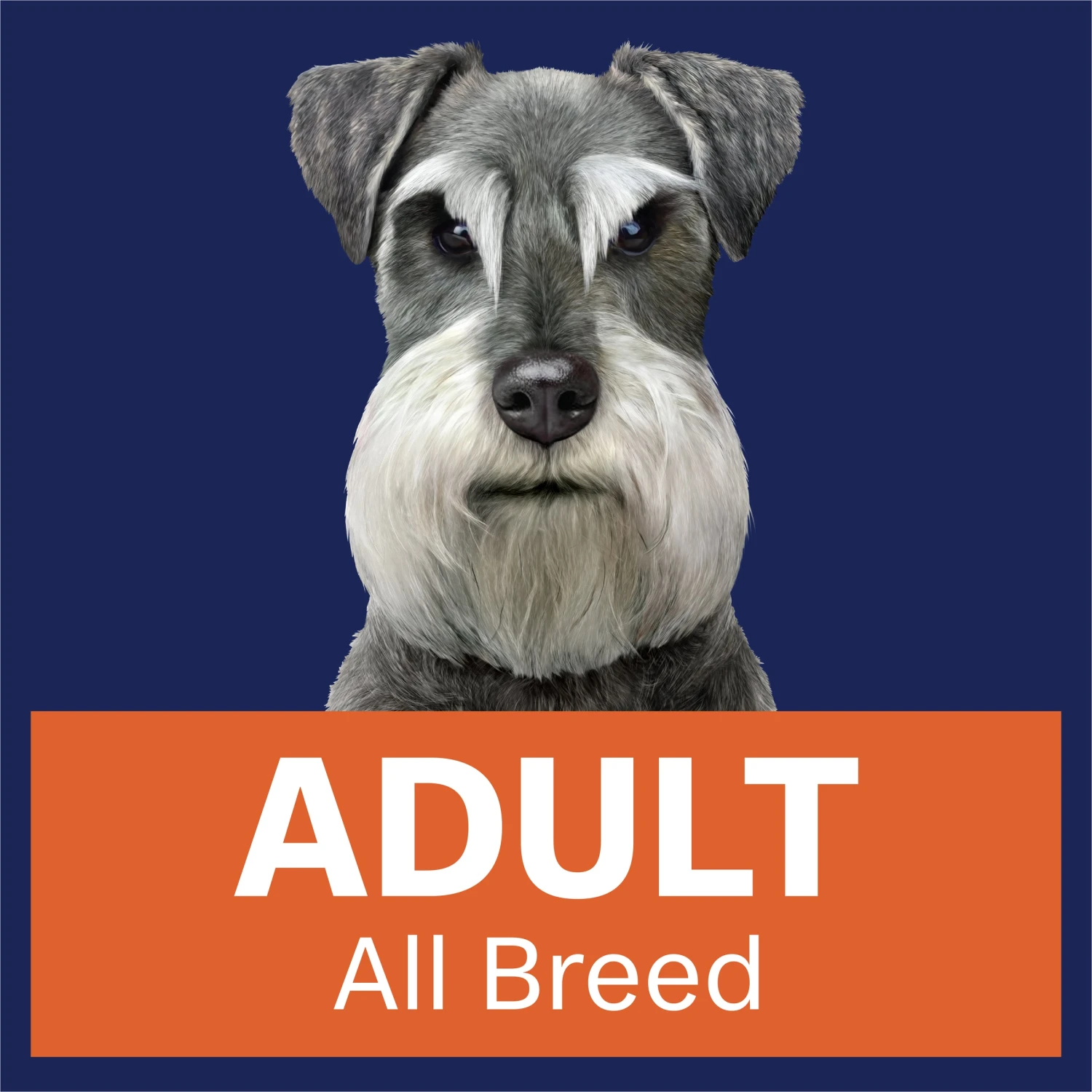 Advance Casserole With Salmon Adult Dog Wet Food 100g Trays 12 Advance Casserole With Salmon Adult Dog Wet Food 100g Trays - Image 10