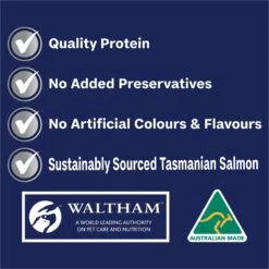 Advance Casserole With Salmon Adult Dog Wet Food 100g Trays 20 Advance Casserole With Salmon Adult Dog Wet Food 100g Trays -KONG Shop MARS 9334214061542 9