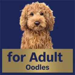 Advance Oodles With Salmon Adult Dog Wet Food 100g Trays -KONG Shop MARS 9334214061573 16