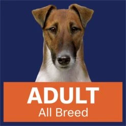 Advance All Breed With Lamb Adult Dog Wet Food 100g Trays -KONG Shop MARS 9334214061580 16