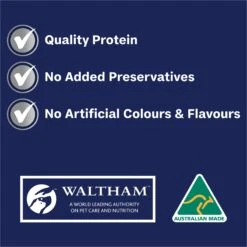 Advance All Breed With Lamb Adult Dog Wet Food 100g Trays -KONG Shop MARS 9334214061580 9