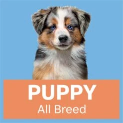 Advance Chicken With Rice All Breed Puppy Wet Food 100g Trays -KONG Shop MARS 9334214061610 16