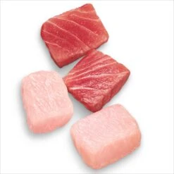 Advance Multi Cat Chicken And Ocean Fish All Ages Cat Dry Food -KONG Shop MARS 9334214065205 10