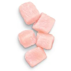 Advance Chicken Kitten Dry Food -KONG Shop MARS 9334214065724 10