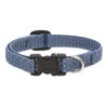 LupinePet Mountain Lake Eco Dog Collar -KONG Shop MountainLakeEcoDogcollar