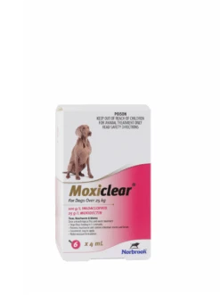 Moxiclear For Dogs Over 25kg -KONG Shop MoxiclearforDogsover25kg6pk