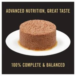 Purina Pro Plan Development Chicken & Liver Entrée Kitten Wet Food 85g Cans -KONG Shop NEST 38100026903 12