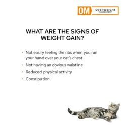 Purina Pro Plan Veterinary Diet Feline OM Overweight 156g Cans -KONG Shop NEST 38100138118 10