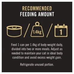 Purina Pro Plan Complete Essentials Beef & Carrots Entree Cat Wet Food 85g Cans -KONG Shop NEST 38100153050 10