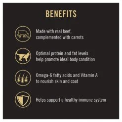 Purina Pro Plan Complete Essentials Beef & Carrots Entree Cat Wet Food 85g Cans -KONG Shop NEST 38100153050 7