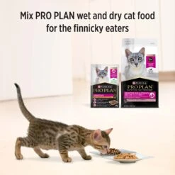 Purina Pro Plan Sensitive Chicken Adult Cat Wet Food Gravy 85g Pouches -KONG Shop NEST 9300605128187 10