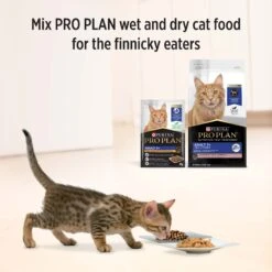 Purina Pro Plan Adult Cat Wet Food 7+ Chicken In Gravy 85g -KONG Shop NEST 9300605128194 10