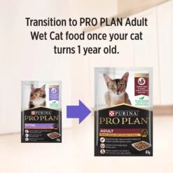 Purina Pro Plan Kitten Wet Food Salmon In Gravy 85g Pouches -KONG Shop NEST 9300605128217 14