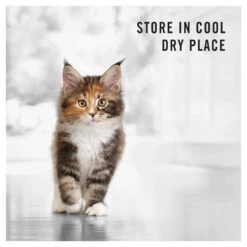 Purina Pro Plan Kitten Salmon & Tuna Formula Dry Cat Food -KONG Shop NEST 9300605132450 18