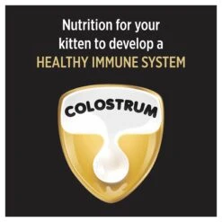 Purina Pro Plan Kitten Salmon & Tuna Formula Dry Cat Food -KONG Shop NEST 9300605132450 9