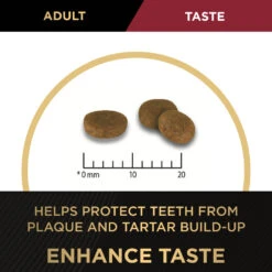 Purina Pro Plan Adult Chicken Formula Dry Cat Food -KONG Shop NEST 9300605132924 10