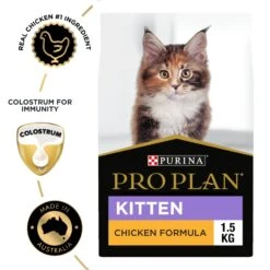 Purina Pro Plan Kitten Chicken Formula Dry Cat Food -KONG Shop NEST 9300605132955 10