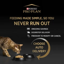 Purina Pro Plan Indoor Hairball Control Chicken Formula Dry Cat Food -KONG Shop NEST 9300605133006 16