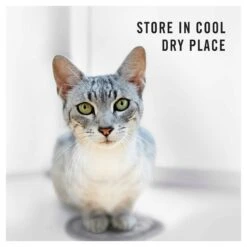 Purina Pro Plan Urinary Care Chicken Formula Dry Cat Food -KONG Shop NEST 9300605133037 18