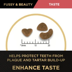 Purina Pro Plan Fussy & Beauty Salmon Formula Dry Cat Food -KONG Shop NEST 9300605133075 9