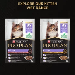 Purina Pro Plan LiveClear Kitten Chicken Formula With Probiotics Dry Cat Food -KONG Shop NEST 9300605136106 14