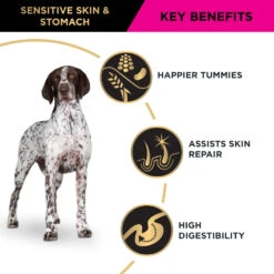 Purina Pro Plan Sensitive Skin & Stomach Medium & Large Breed Adult Dog Dry Food -KONG Shop NEST 9300605149311 14
