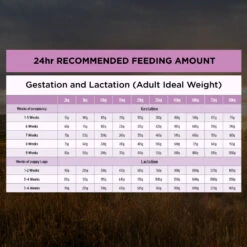 Purina Pro Plan Performance Starter Mother & Puppy Chicken Dry Dog Food 33 Purina Pro Plan Performance Starter Mother & Puppy Chicken Dry Dog Food -KONG Shop NEST 9300605149359 15