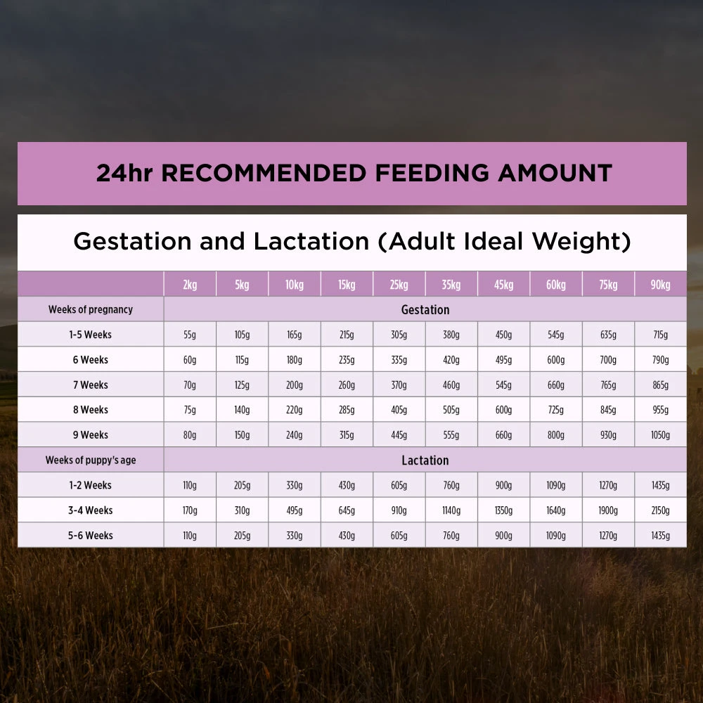 Purina Pro Plan Performance Starter Mother & Puppy Chicken Dry Dog Food 15 Purina Pro Plan Performance Starter Mother & Puppy Chicken Dry Dog Food - Image 13