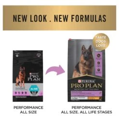 Purina Pro Plan Performance Chicken Formula Adult Dry Dog Food -KONG Shop NEST 9300605149533 8