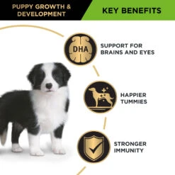 Purina Pro Plan Puppy Medium Breed Chicken Formula Adult Dog Dry Food -KONG Shop NEST 9300605149687 14