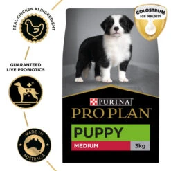 Purina Pro Plan Puppy Medium Breed Chicken Formula Adult Dog Dry Food -KONG Shop NEST 9300605149687 20