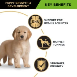 Purina Pro Plan Puppy Large Breed Chicken Dry Dog Food -KONG Shop NEST 9300605149694 14