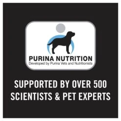 Purina Pro Plan Puppy Large Breed Chicken Dry Dog Food -KONG Shop NEST 9300605149694 17